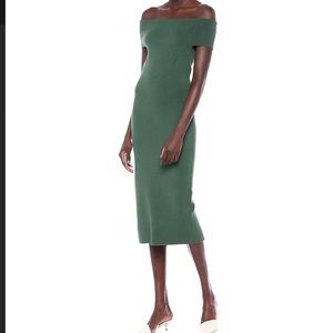 Lark & Ro small winter green knit dress NWT!